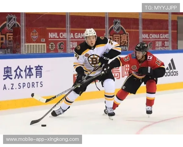 冰球球迷文化热度上升，赛场更具活力